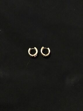 Gold Tone Huggie Hoop Earrings